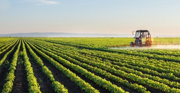 Agronegócio: plantação com trator
