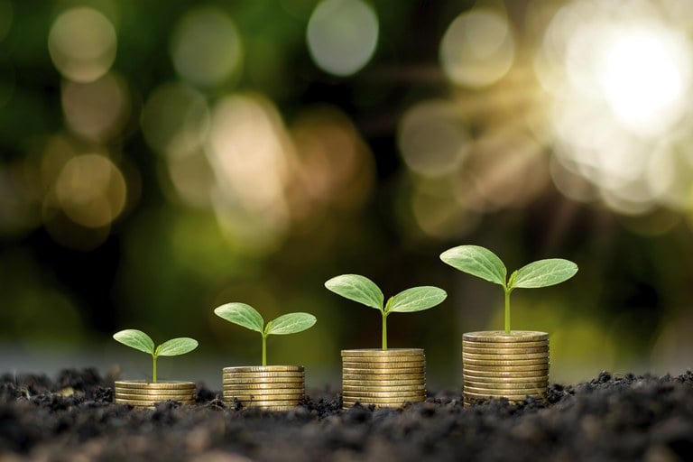 Fiagro, por dentro dos investimentos do agronegócio.