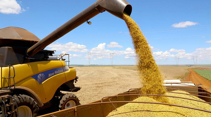 Agronegócio: CEOs do agrotemem desaceleração da economia