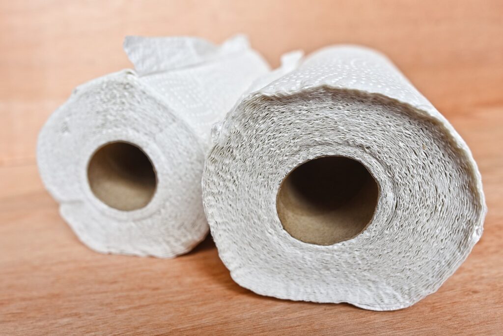 Imagem mostra dois rolos de papel higiênico.