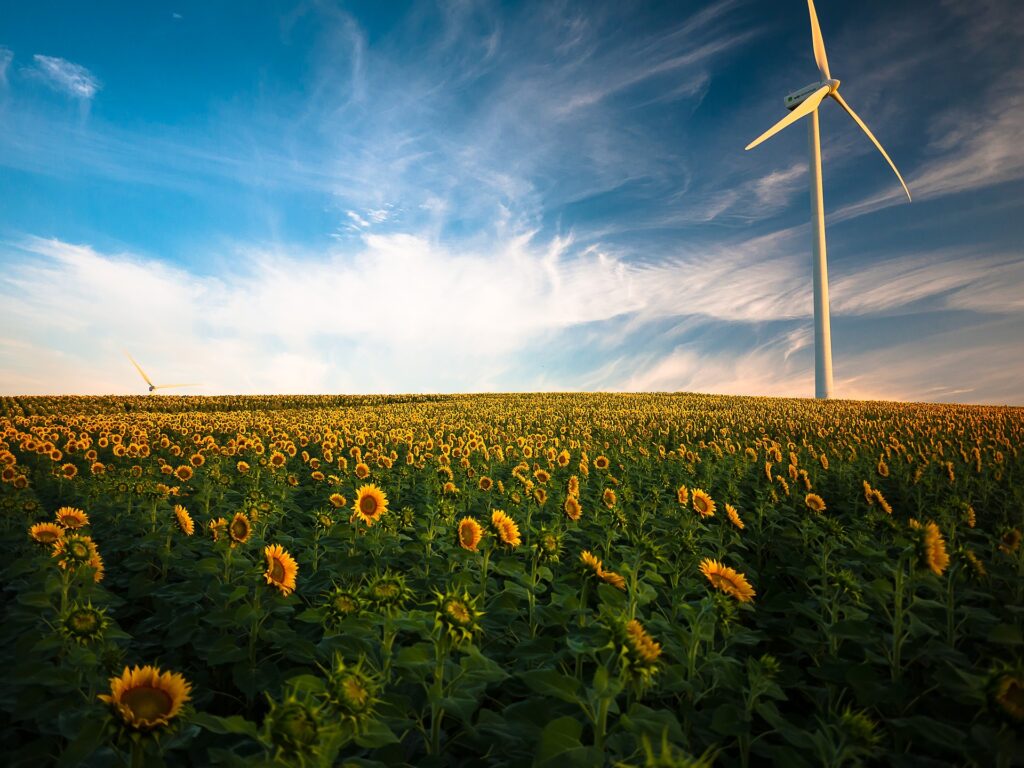 Traga a sustentabilidade para sua empresa