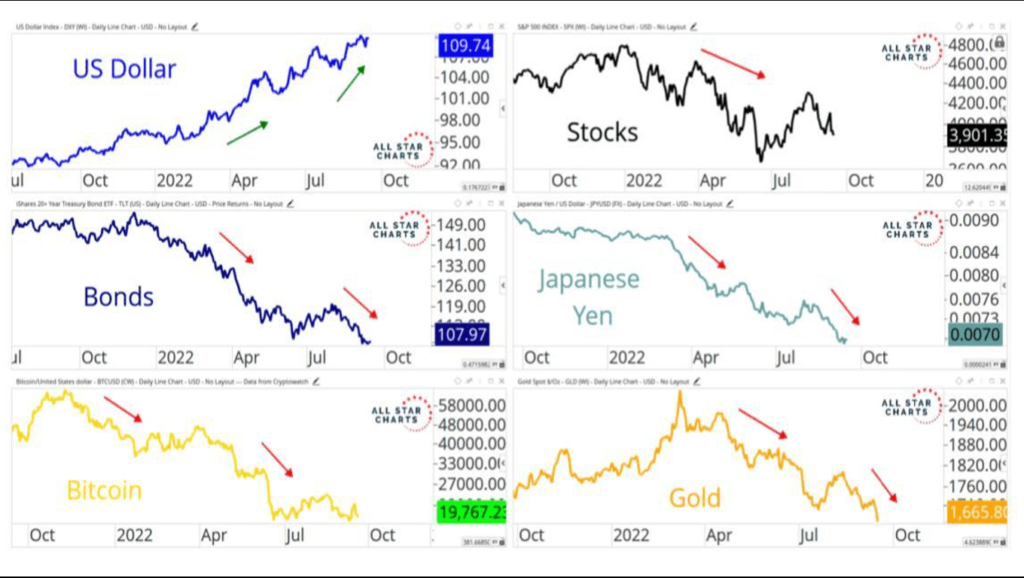 gráfico com desempenho de investimentos estrangeiros