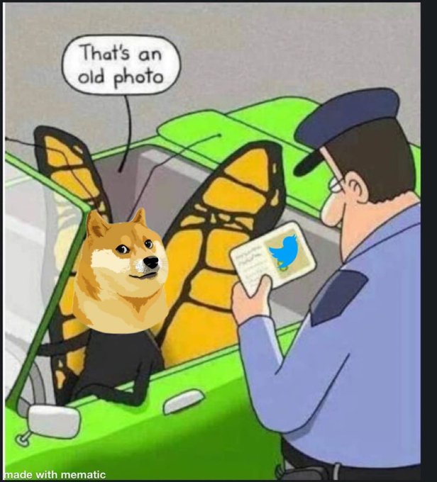Dogecoin (DOGE): charge com o cão símbolo da moeda e o passarinho do Twitter