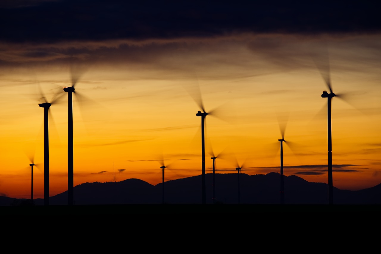 Imagem mostra um parque de energia eólica.