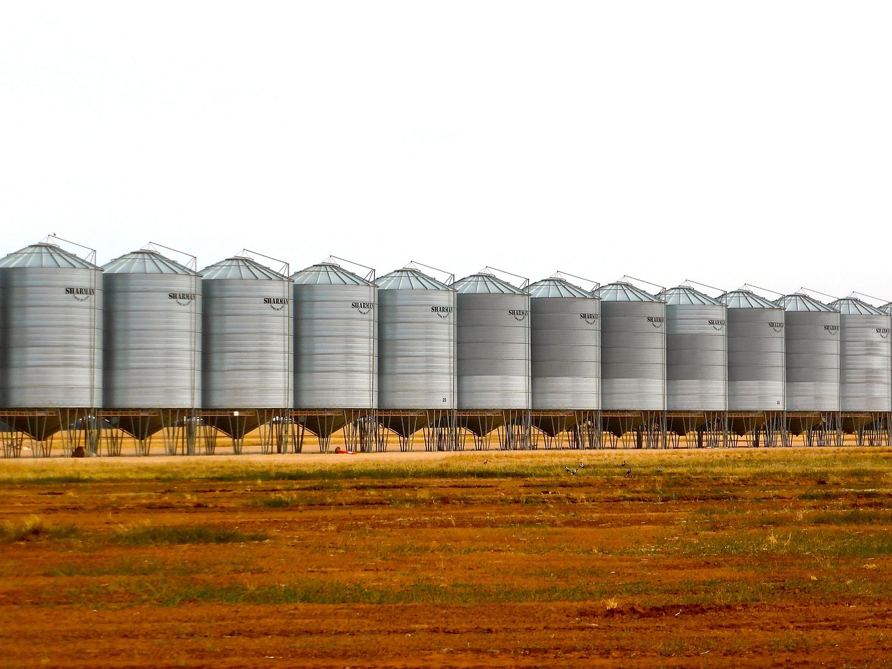 Imagem mostra alguns silos de grãos.
