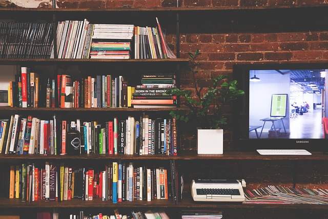 Estante com livros. Foto: Pixabay