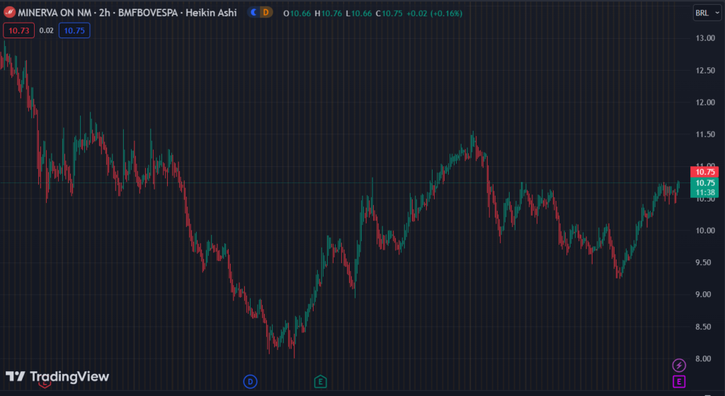 Gráfico mostra a ação BEEF3 na Bolsa.