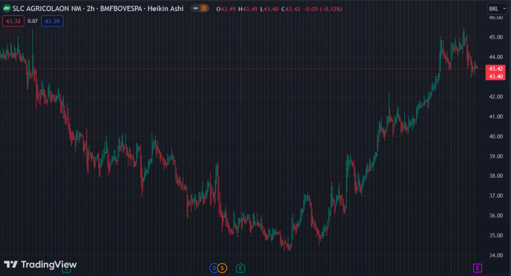 Gráfico mostra a ação SLCE3 na Bolsa.