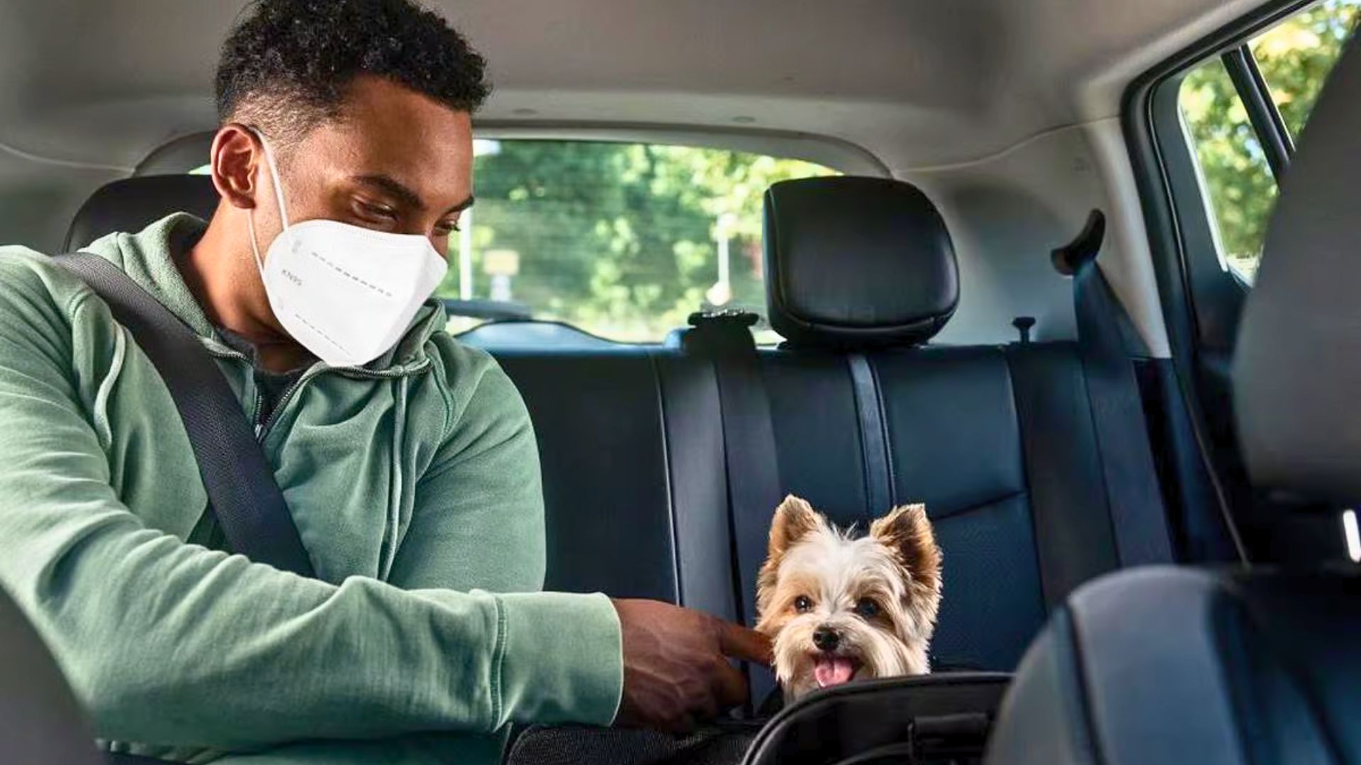 Passageiro com o seu cachorro em um Uber Pet