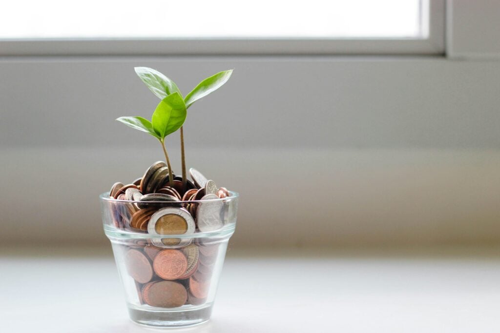 investidor conservador: imagem de muda de planta crescendo em vaso com moedas