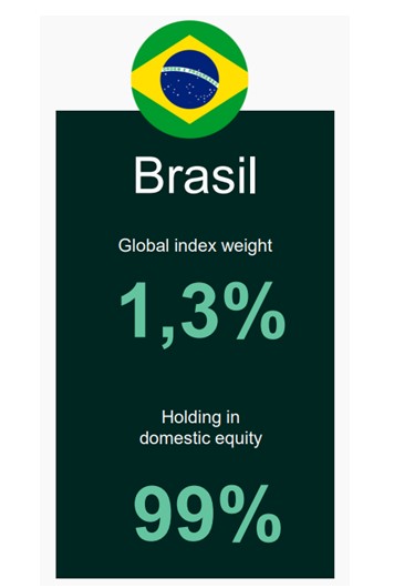 Fonte: Vanguard Research / The global case for strategic asset allocation and an examination of home bias (Feb 2017)