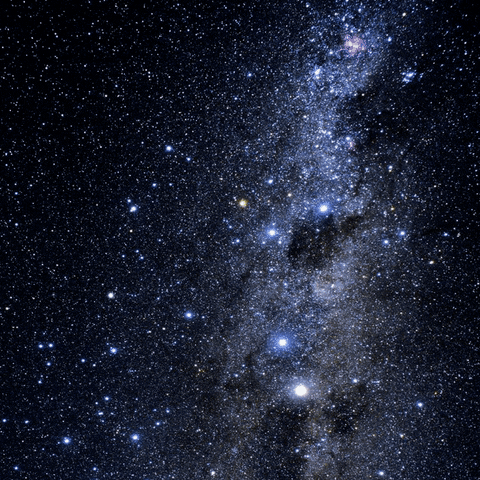 Dia de Star Wars. Gif May The Fourth Be With You!