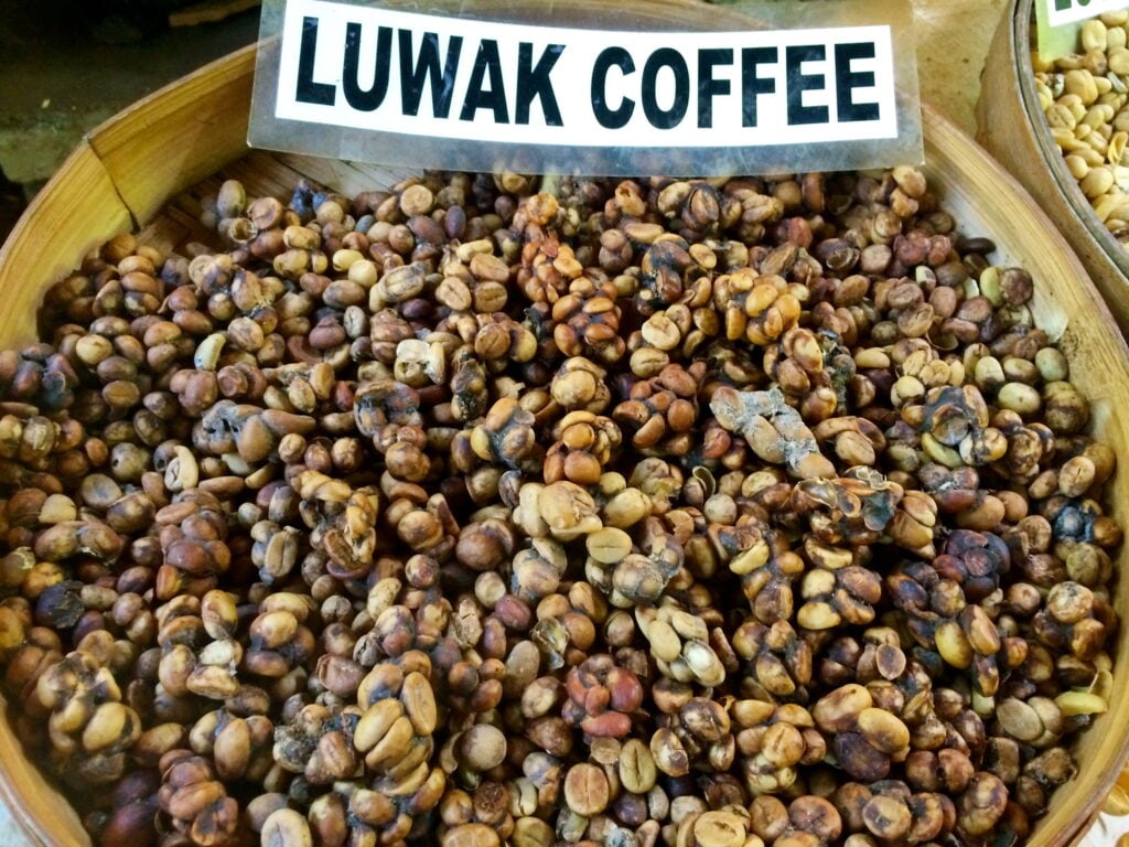 Dia Nacional do Café: Luwak Café