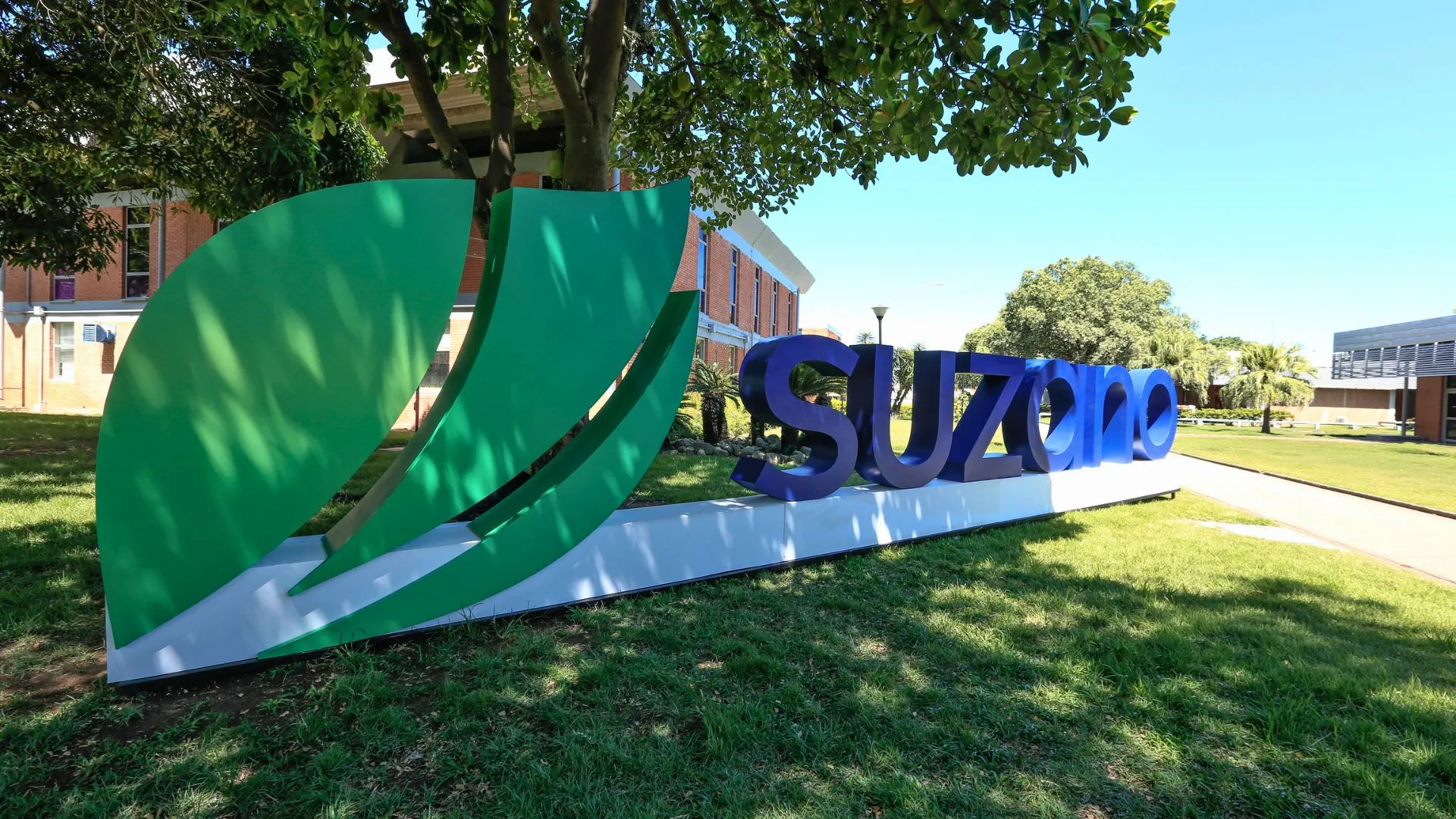 Suzano desiste de adquirir International Paper