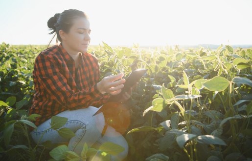 Dia do Agricultor: agronegócio e mercado financeiro. Foto mostra mulher em meio a plantação, checando tablet