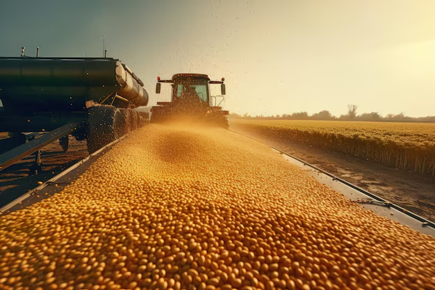 Colheita após o plantio no final da estação de crescimento Trabalhadores colhem produtos maduros Soja trigo milho girassóis Trator e colheitadeira Equipamentos agrícolas e máquinas agrícolas