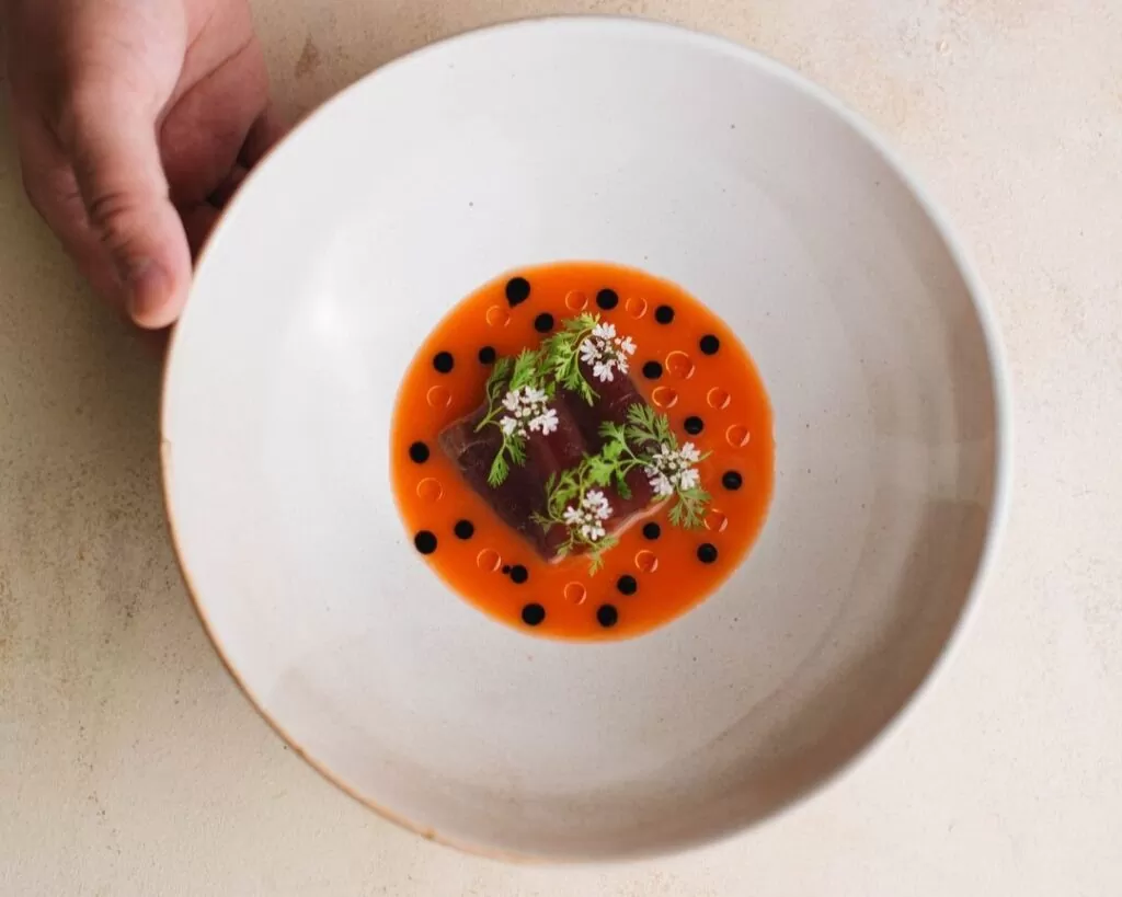 Mundo da gastronomia. Metzi.