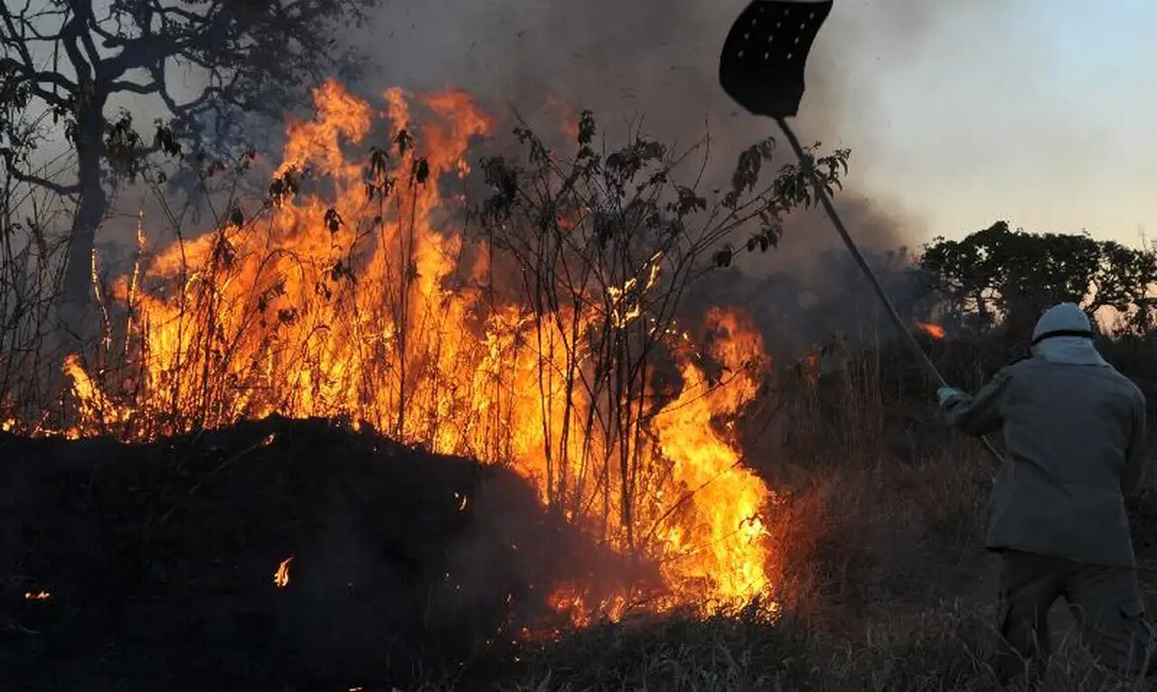 Governo estuda confisco de terras com incêndios criminosos, diz Marina Silva