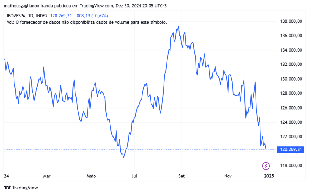 Melhores investimentos de 2024: comportamento do Ibovespa