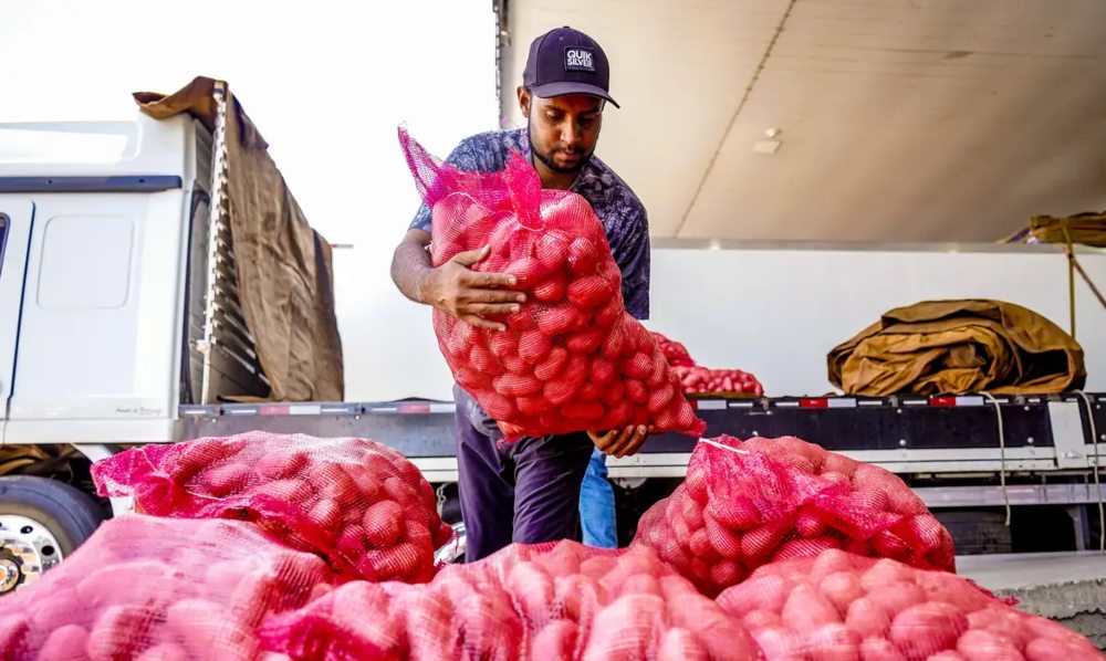 Programa para alimentos pode ser adotado