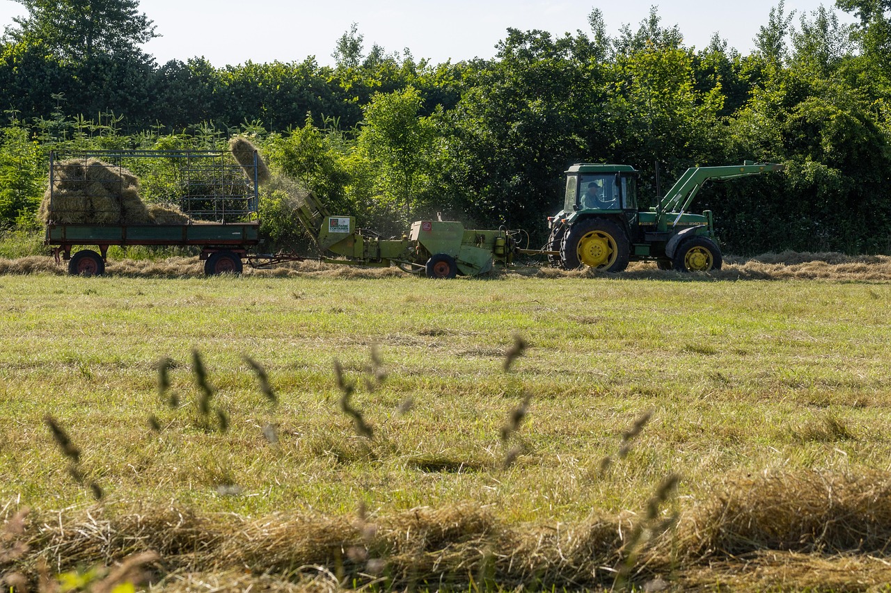 linhas de crédito rural