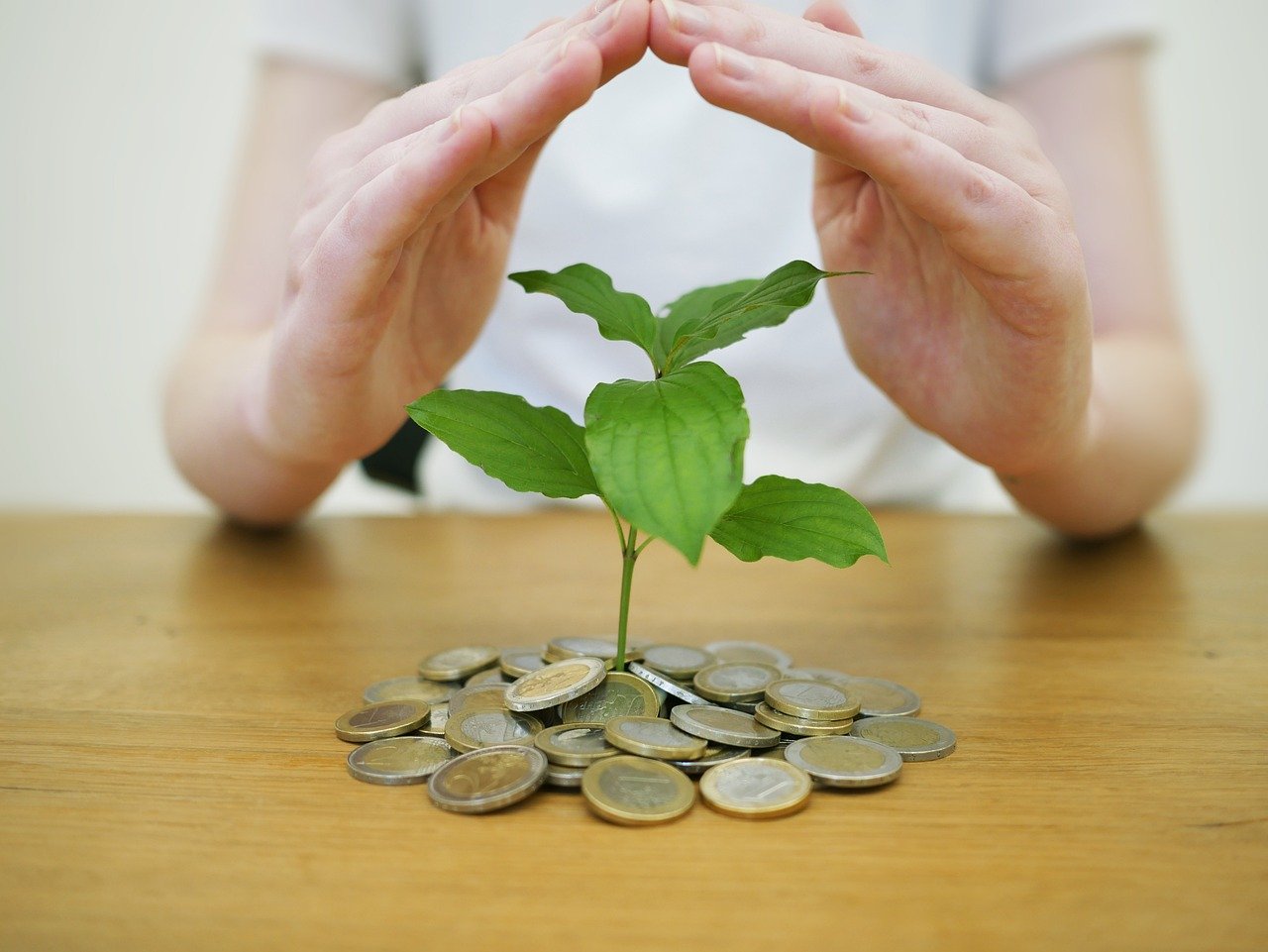 INVESTIR-PELA-PRIMEIRA-VEZ