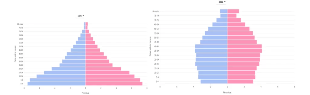 pirâmide etária do Brasil: gráfico