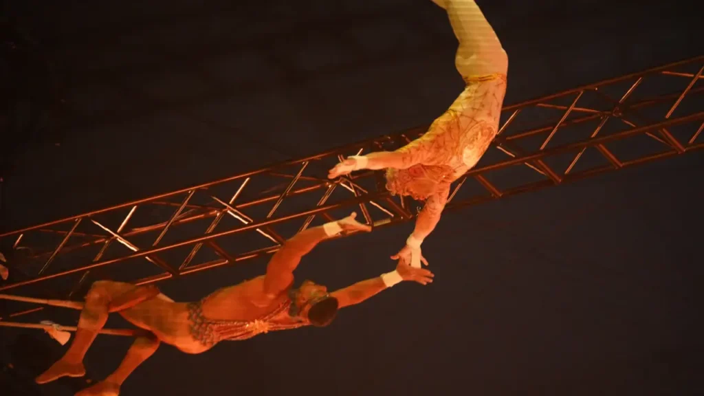 Brasileiros no Cirque du Soleil